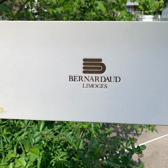 Vtg Rare Bernardaud Limoges French Long Plate - Picture 10 of 13